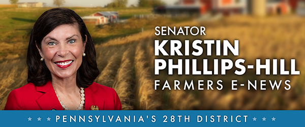 Senator Phillips-Hill E-Newsletter
