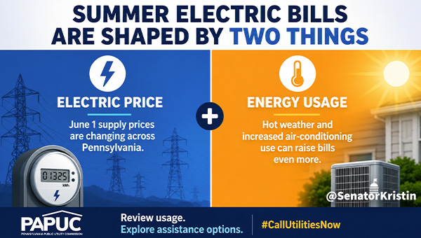Infogram showing the cost of electricity and energy usage
