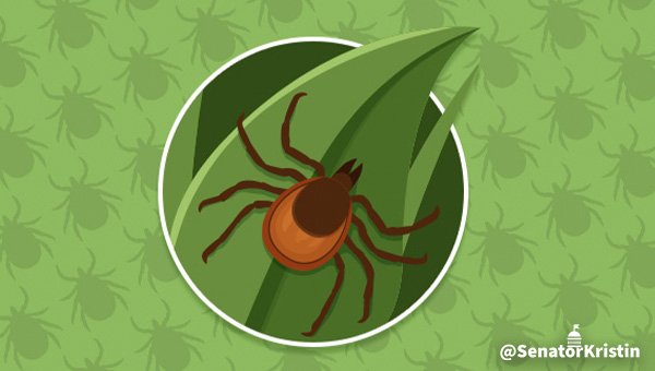 Clip art of a tick on a leaf