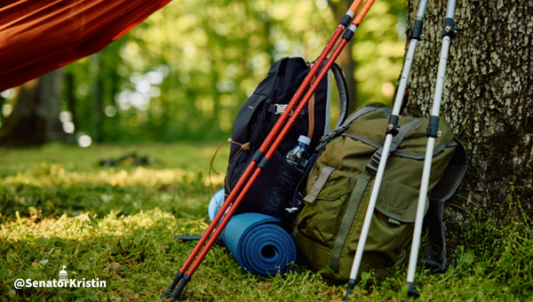 Backpacks and hiking sticks leaning against a tree.