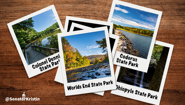 A pile of Polaroid-style instant photographs of Pennsylvania state parks.