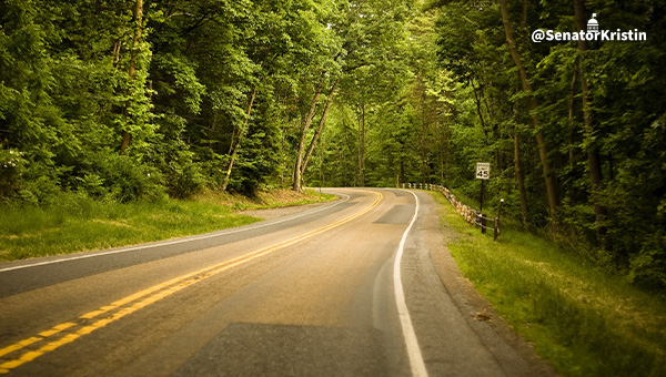 A road surrounded by trees.